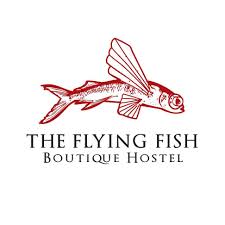 flying-fish